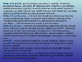 Mokesčių administravimas. Viskas ką reikia žinoti 6 puslapis