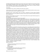 Neribotos atsakomybės įmonėms 3 puslapis