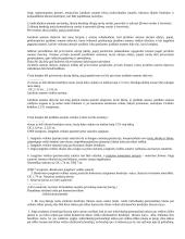 Neribotos atsakomybės įmonėms 4 puslapis