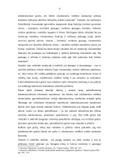 Neteisminis administracinių ginčų nagrinėjimas 4 puslapis