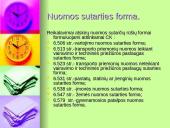 Nuoma ir panauda 11 puslapis