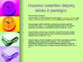 Nuoma ir panauda 13 puslapis