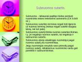 Nuoma ir panauda 15 puslapis