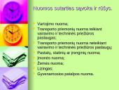 Nuoma ir panauda 6 puslapis