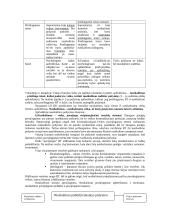 Nusikaltimo samprata 2 puslapis