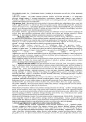 Pašalpos - teorija 2 puslapis