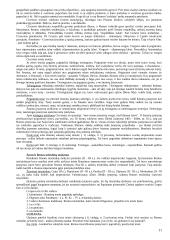 Politinių ir teisinių teorijų istorija 11 puslapis