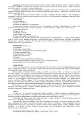 Politinių ir teisinių teorijų istorija 12 puslapis