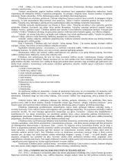 Politinių ir teisinių teorijų istorija 20 puslapis