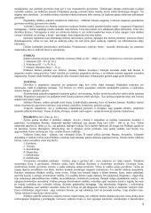 Politinių ir teisinių teorijų istorija 9 puslapis