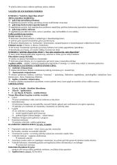 Politikos ir politologijos teorinė medžiaga 3 puslapis