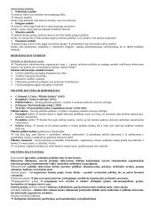 Politikos ir politologijos teorinė medžiaga 6 puslapis