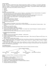 Politologijos mokslo teorinė medžiaga 3 puslapis