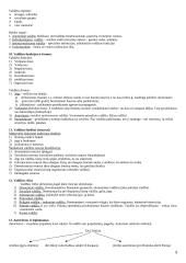 Politologijos mokslo teorinė medžiaga 5 puslapis