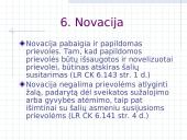 Prievolių pasibaigimas 14 puslapis