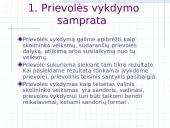 Prievolių vykdymas 2 puslapis