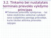 Prievolių vykdymas 13 puslapis