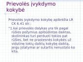 Prievolių vykdymas 19 puslapis