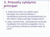 Prievolių vykdymas 10 puslapis