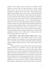 Principų reikšmė administracinėje procesinėje teisėje 3 puslapis