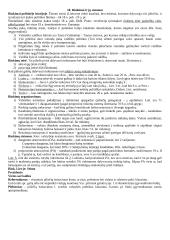 Rinkimai ir jų sistemos: Lietuva