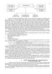 Romėnų teisės šaltinių sąvoka, jų rūšys ir charakteristika 2 puslapis