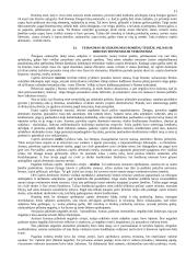 Romėnų teisės šaltinių sąvoka, jų rūšys ir charakteristika 11 puslapis