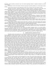 Romėnų teisės šaltinių sąvoka, jų rūšys ir charakteristika 12 puslapis