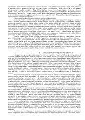 Romėnų teisės šaltinių sąvoka, jų rūšys ir charakteristika 13 puslapis