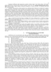 Romėnų teisės šaltinių sąvoka, jų rūšys ir charakteristika 4 puslapis