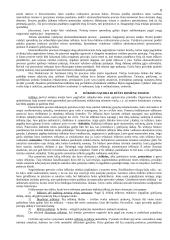 Romėnų teisės šaltinių sąvoka, jų rūšys ir charakteristika 8 puslapis