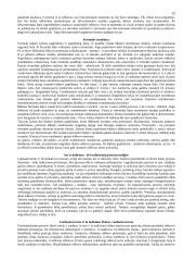 Patriarchalinė pater familias valdžia Romoje 12 puslapis