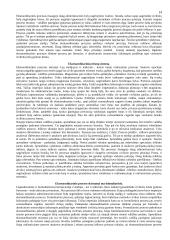 Patriarchalinė pater familias valdžia Romoje 14 puslapis