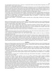 Patriarchalinė pater familias valdžia Romoje 18 puslapis