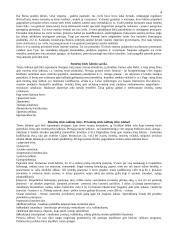 Patriarchalinė pater familias valdžia Romoje 4 puslapis