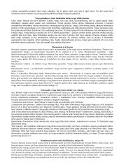 Patriarchalinė pater familias valdžia Romoje 7 puslapis