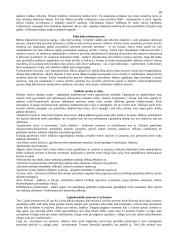 Patriarchalinė pater familias valdžia Romoje 10 puslapis