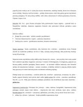 Romėnų teisės esminiai požymiai 2 puslapis