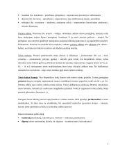 Romėnų teisės esminiai požymiai 3 puslapis