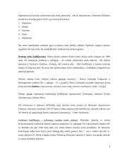 Romėnų teisės esminiai požymiai 4 puslapis