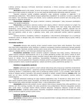 Sandorių sąvoka ir rūšys civilinėje teisėje 2 puslapis