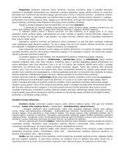 Sandorių sąvoka ir rūšys civilinėje teisėje 3 puslapis