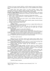 Saugumo samprata 2 puslapis