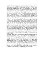 Socialinio aprūpinimo teisės teorija 5 puslapis