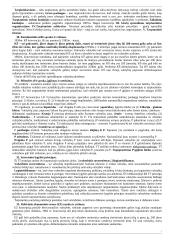 Tarptautinės teisės teorinė paskaitų medžiaga 16 puslapis