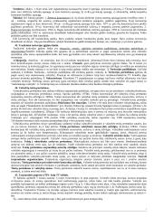 Tarptautinės teisės teorinė paskaitų medžiaga 20 puslapis