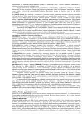 Filosofijos problemų krypčių samprata 2 puslapis