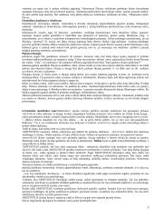 Filosofijos problemų krypčių samprata 3 puslapis