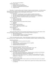 Teisės informatika - paskaitų medžiaga 4 puslapis