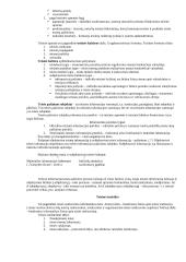 Teisės informatika - paskaitų medžiaga 6 puslapis